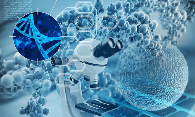 慧觀生物完成近千萬人民幣種子輪融資,投資方為德迅投資
